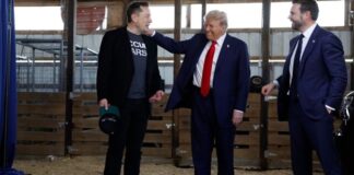 Por fin Musk se va del gobierno gabacho