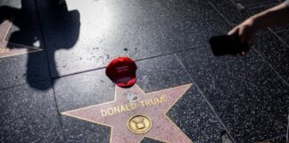 Trump y su nueva Guerra contra el cine