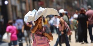 Mitos y realidades sobre la canícula