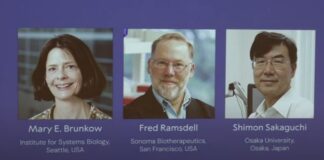 Acá lxs ganadorxs del Nobel 2025