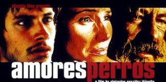 Amores Perros a presentarse en Bellas Artes