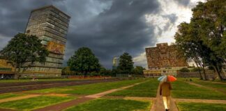 La UNAM le estaría diciendo adiós a más de 10 licenciaturas