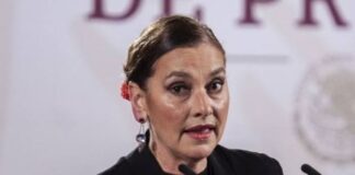 Beatriz Gutierrez Muller le canta tiro a Elon