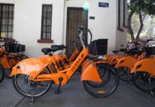 Te contamos qué vehículos eléctricos necesitarán placas