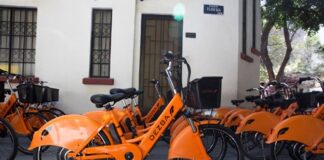 Te contamos qué vehículos eléctricos necesitarán placas