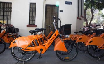 Te contamos qué vehículos eléctricos necesitarán placas