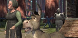 Burro tendría su propia peli
