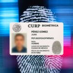 Les contamos si habrá multas por no tener la nueva CURP