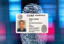Les contamos si habrá multas por no tener la nueva CURP