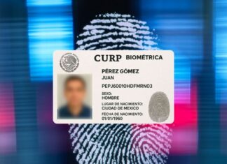 Les contamos si habrá multas por no tener la nueva CURP