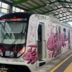 Tren Ligero vuelve a fallar