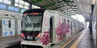 Tren Ligero vuelve a fallar