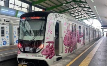 Tren Ligero vuelve a fallar