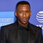 Que siempre no… Blade no regresa