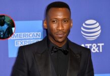 Que siempre no… Blade no regresa