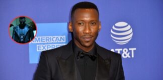 Que siempre no… Blade no regresa