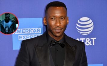 Que siempre no… Blade no regresa