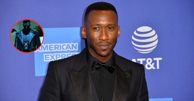 Blade no regresa