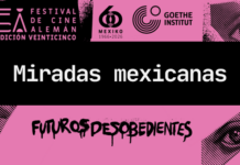 El punk llega al Instituto Goethe